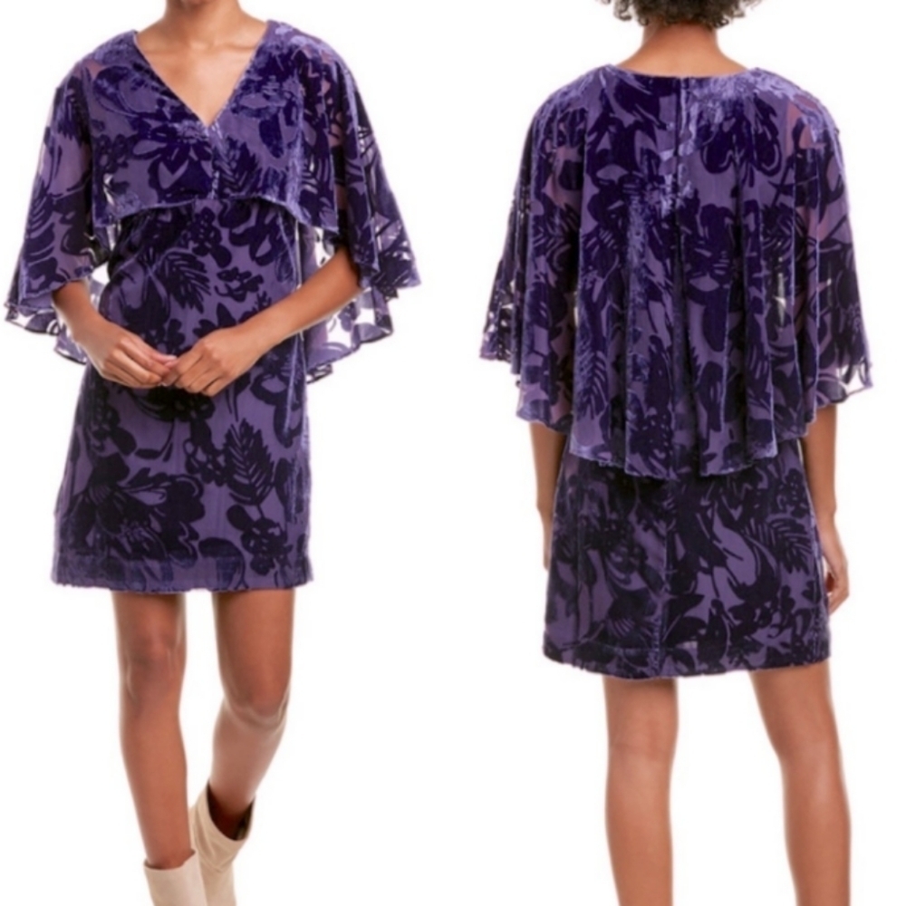 Whimsigoth Fairy Burnout Velvet Caped Sheer Sleeve V Neck Caped Regency  Sz 12